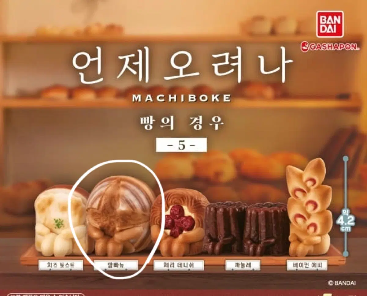 언제오려나 빵의경우5 깜빠뉴 미개봉