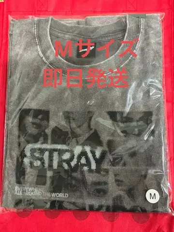 StrayKids 스키즈 사진 T셔츠 L 사이즈 팝업 RUN IT
