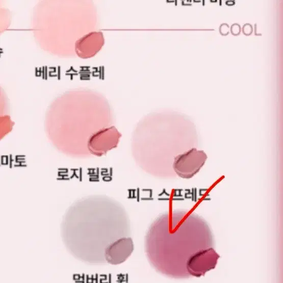 팁토우 블러리 퓨레 블러셔 Z05 블러디플럼 미개봉 새상품