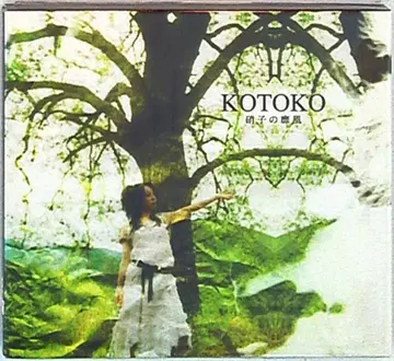 KOTOKO 유리 바람