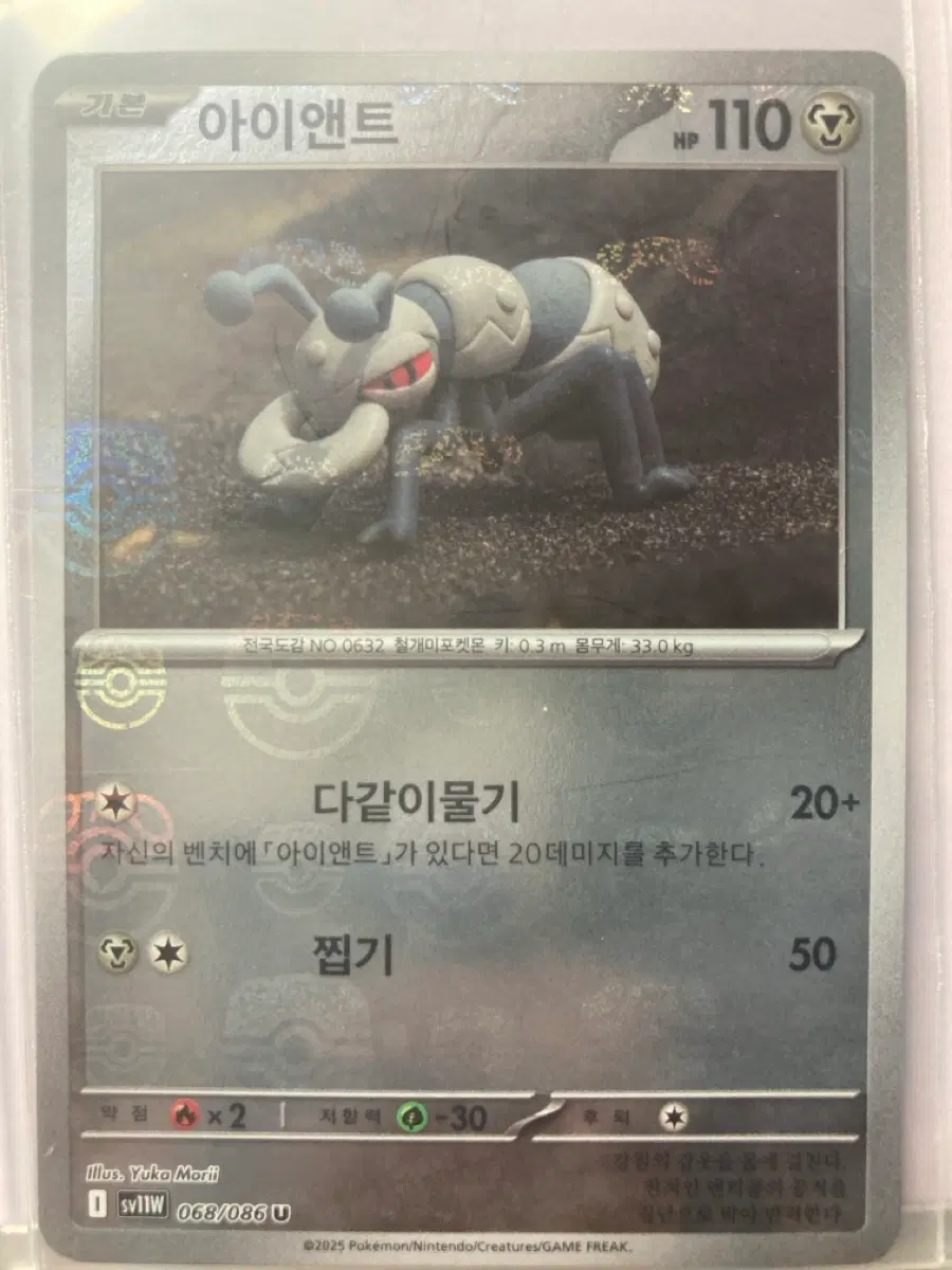 아이엔트 마볼 홀로