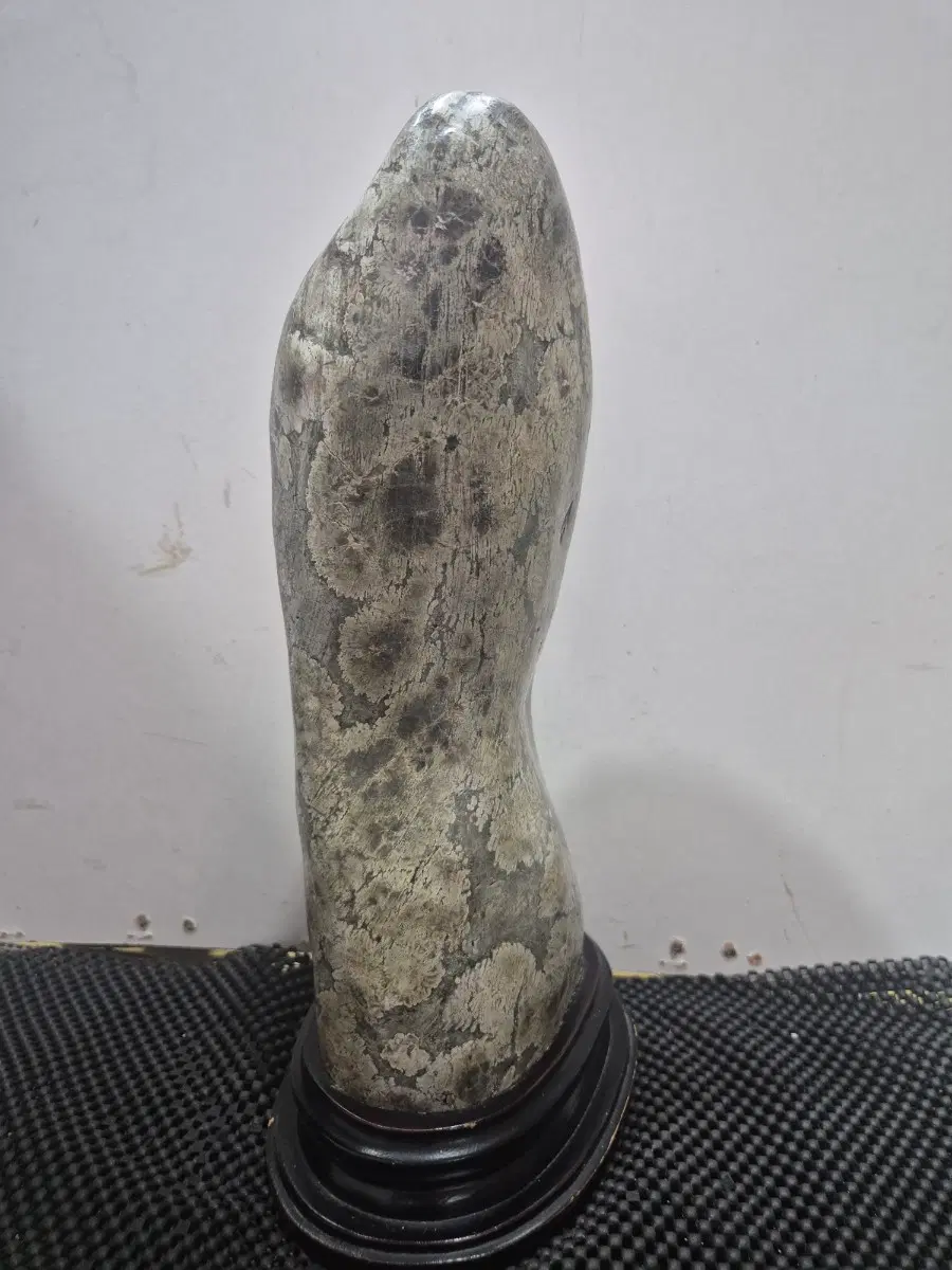 청송 꽃돌 소장품