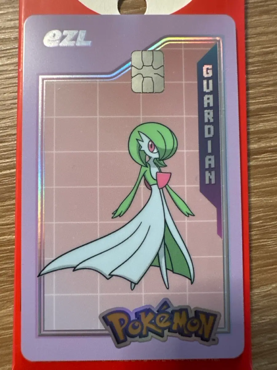이즐 교통카드 가디안