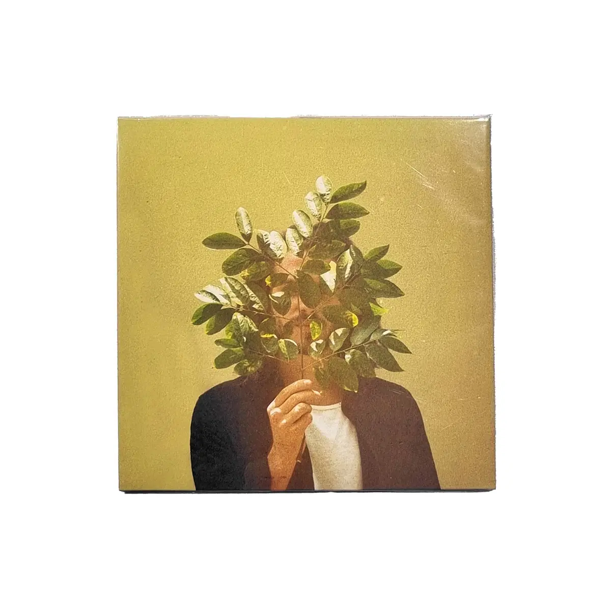 FKJ - FRENCH KIWI JUICE LP