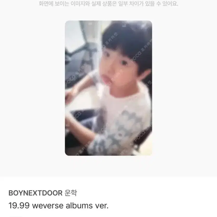 보넥도 19.99 운학 아기포카