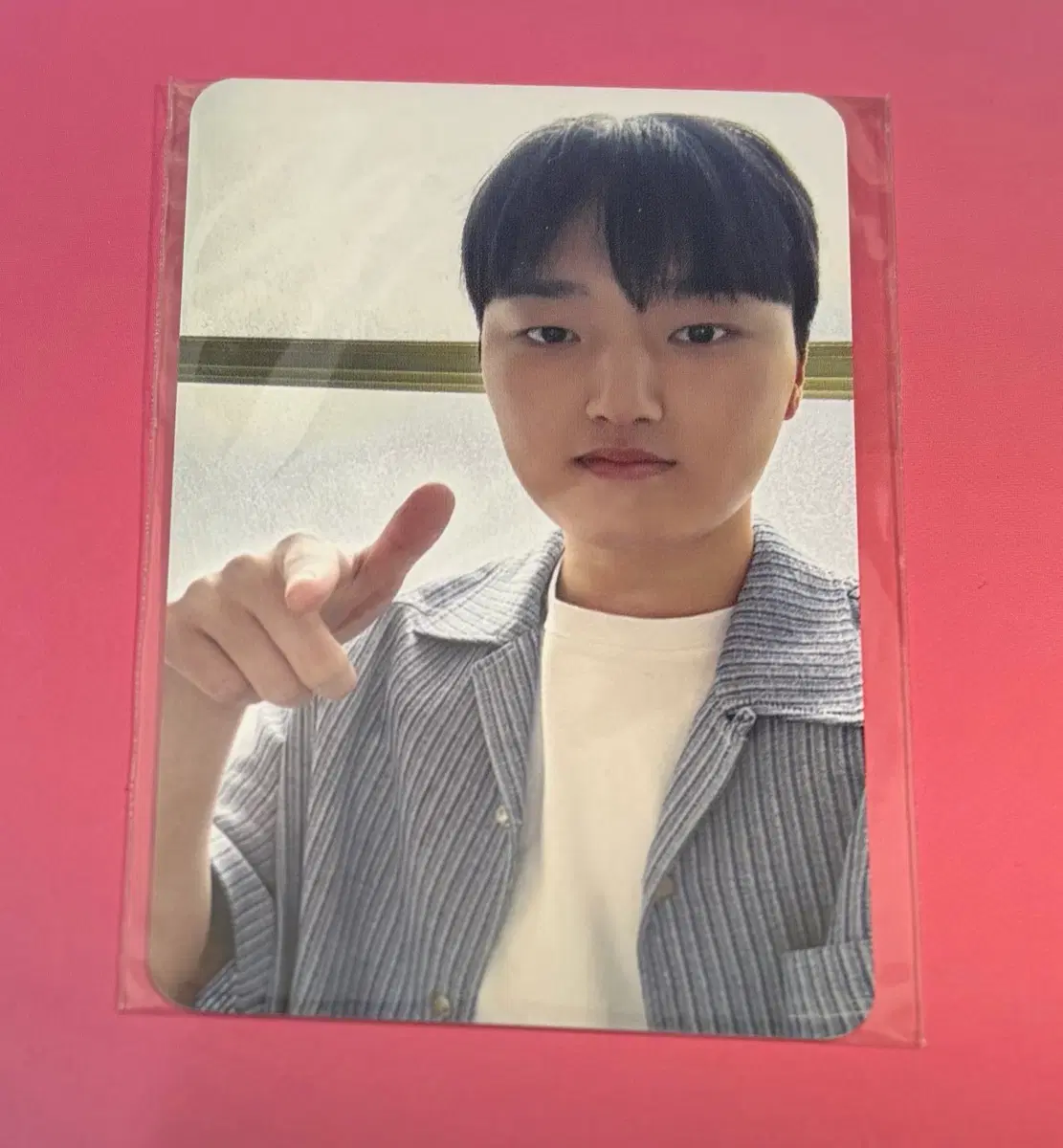 대웅제약 X 티원 T1 페이즈 포카