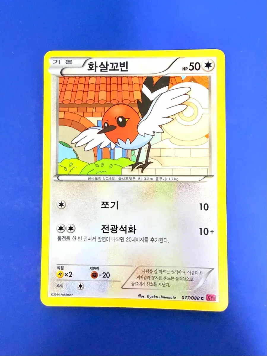 포켓몬카드 2014년 고대카드 XY 화살꼬빈 카드