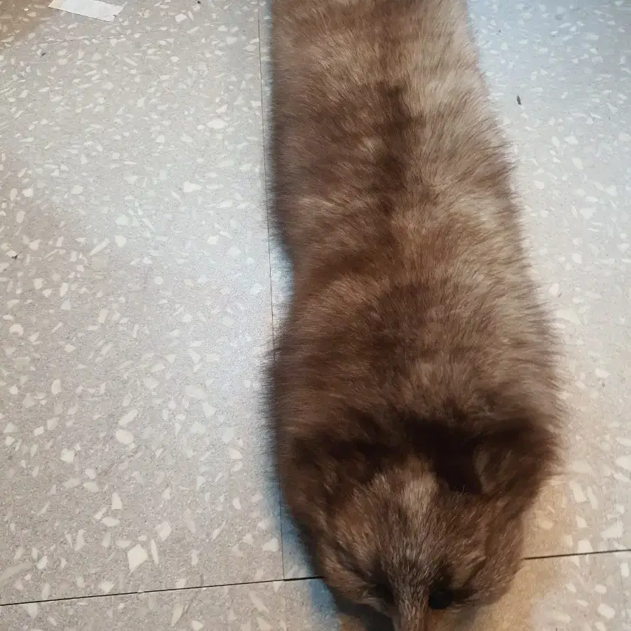 천연 여우털 목도리