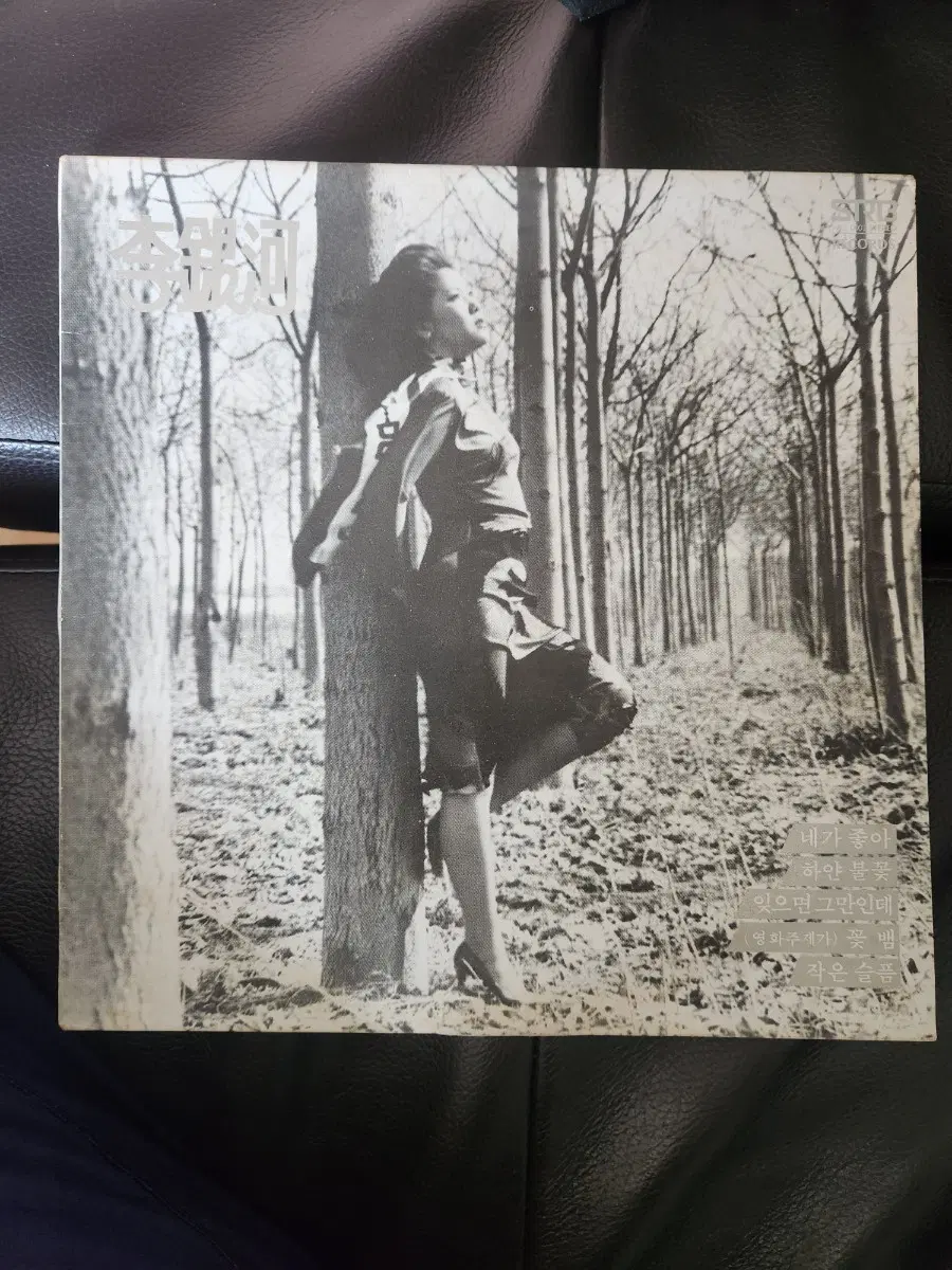 이은하 14집 '네가 좋아 / 하얀 불꽃' (1982년 서라벌레코드)