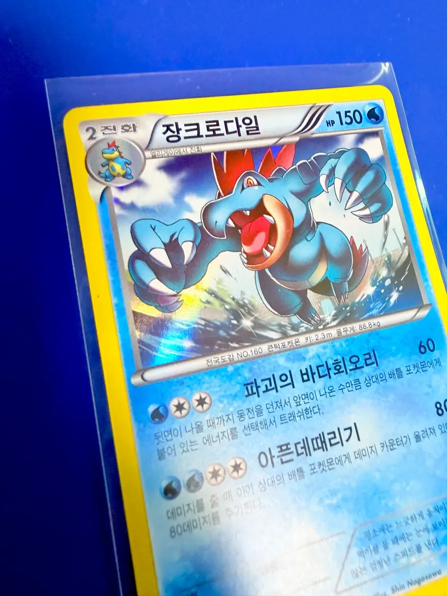 포켓몬카드 2014년 고대카드 XY 장크로다일 홀로 카드