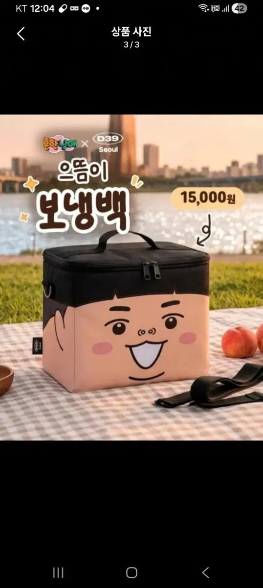 디저트39 흔한남매 콜라보 으뜸이 보냉백 (미개봉), 포토카드+스티커 증정