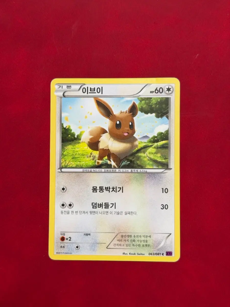 귀여운 포켓몬 고전 카드 이브이 XY 063/081 -2015-