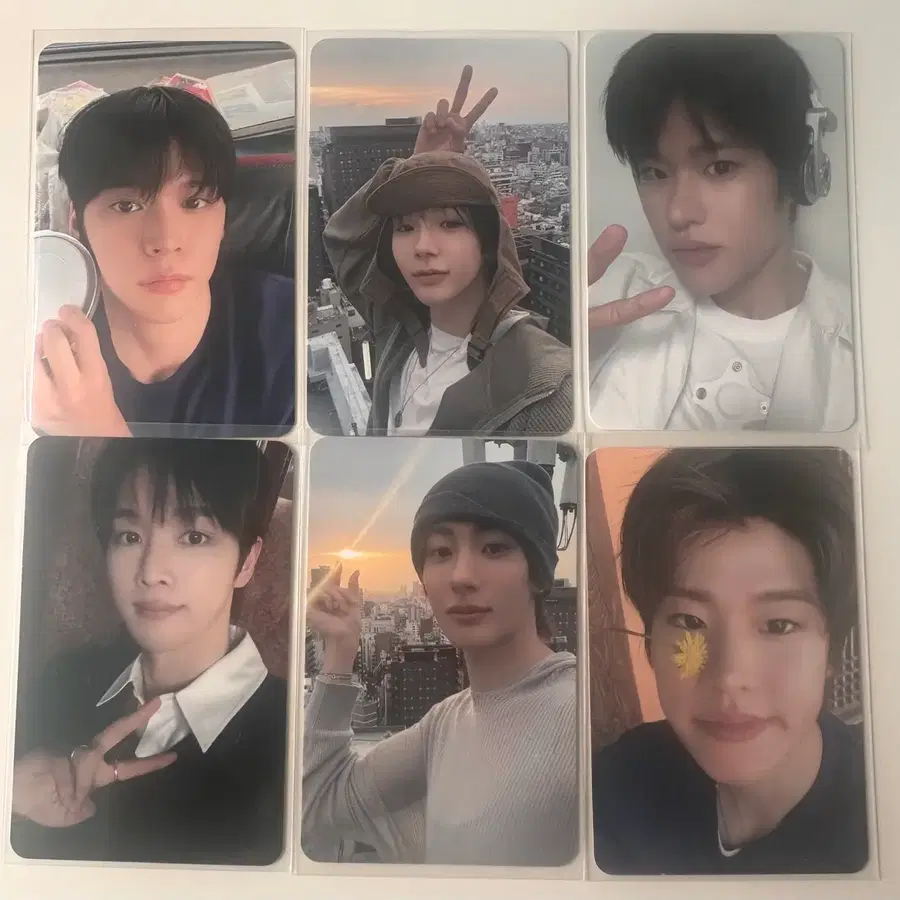 라이즈 ll 앨범 포카
