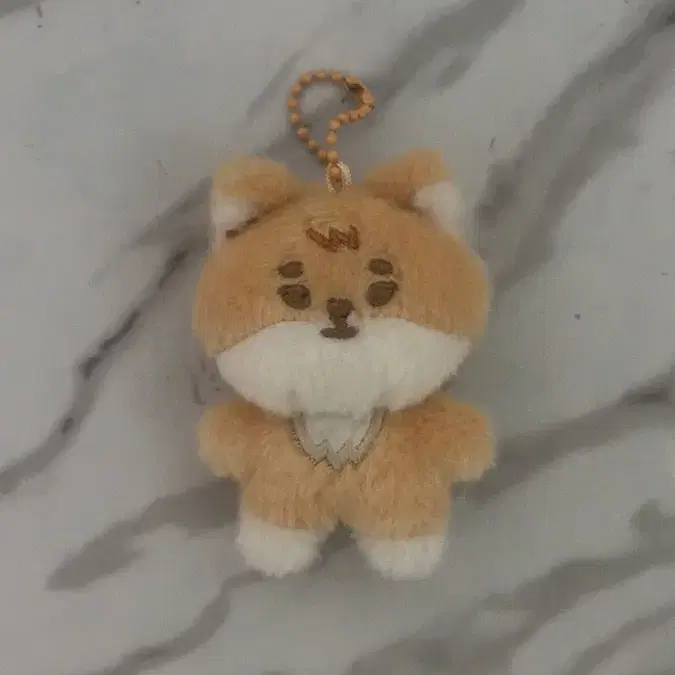 데이식스 영케이 쁘쁘멀 양도