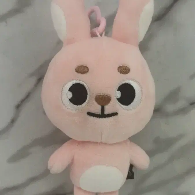 데이식스 원필 24필 양도