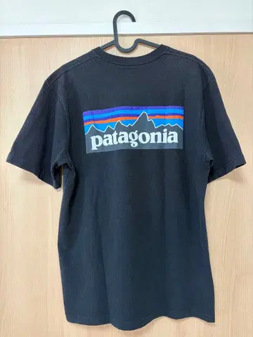 Patagonia T셔츠 블랙 S