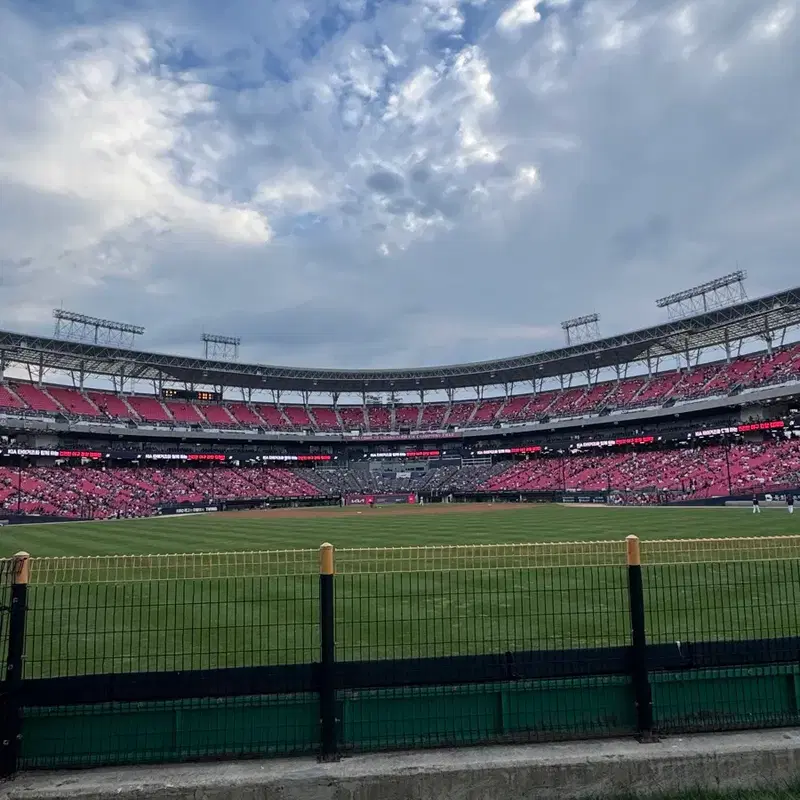 삼성 라이온즈 vs kt wiz 8/30(일)