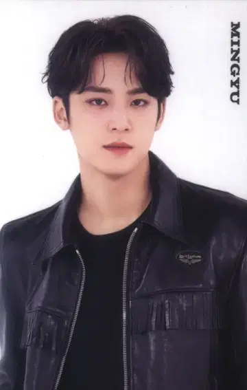 SEVENTEEN 2021 HARE 민규 트레이딩 카드 0113