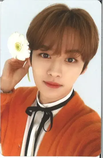 StrayKids NACIFIC 콜라보 LeeKnow 트레이딩 카드 꽃/양면