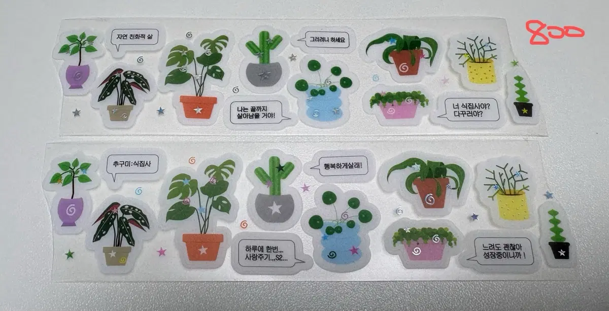 마테띵 식물 식집사 / 체크리스트 / 반짝이 키스컷