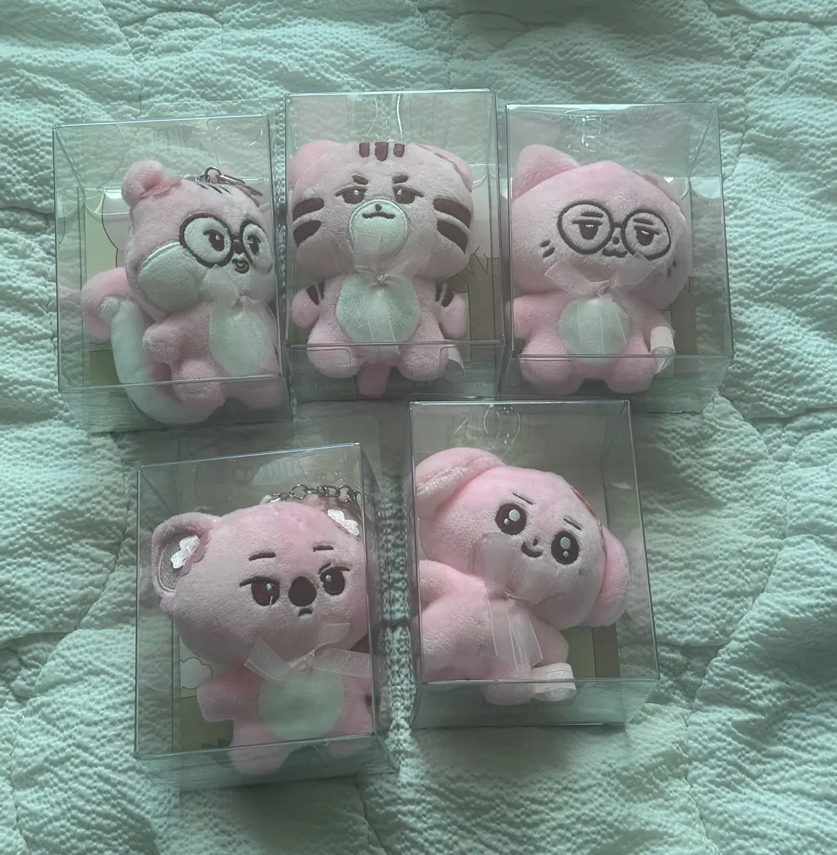 티원 벚꽃 에디션 도란 오너 페이커 페이즈 케리아 일괄