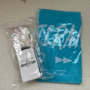 [오늘 중 발송 가능!!] timelesz MOMENTUM 응원봉