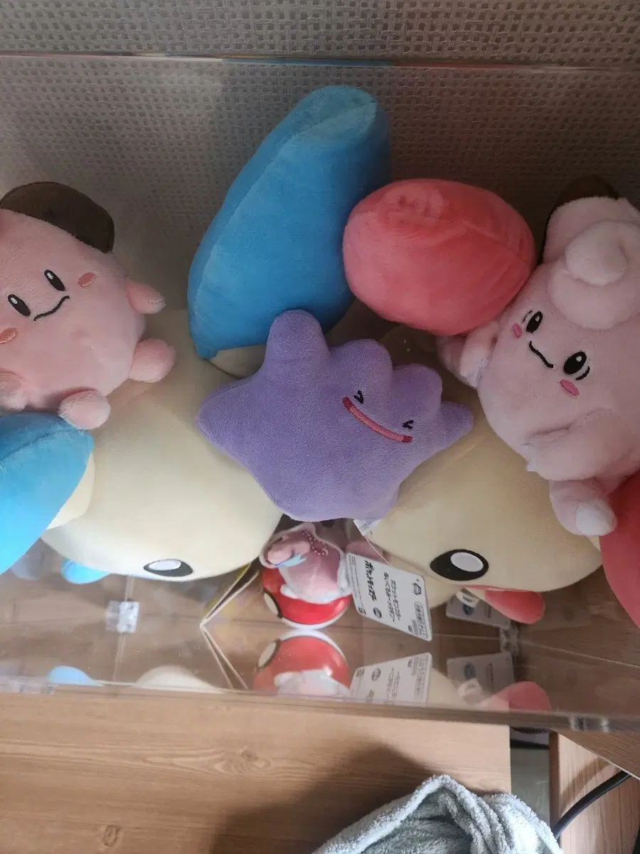 포켓몬 인형 정품 택포함