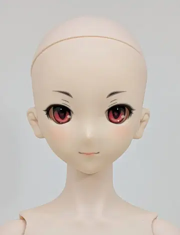 보크스 DDS 아이돌 마스터 신데렐라 걸스 카미사키 란코