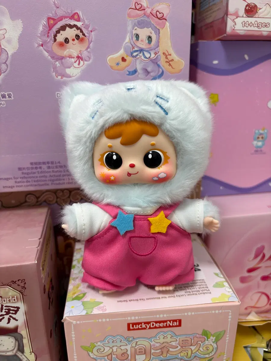 사무엘 고양이 인형