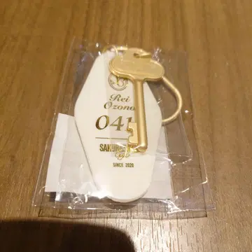 사쿠라자카46 오오조노 레이 카페 룸 키링