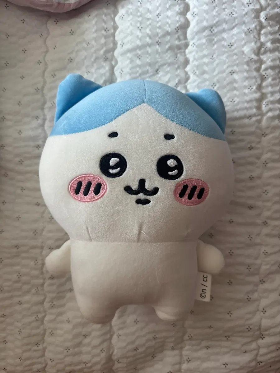 하치와레 봉제인형 중형