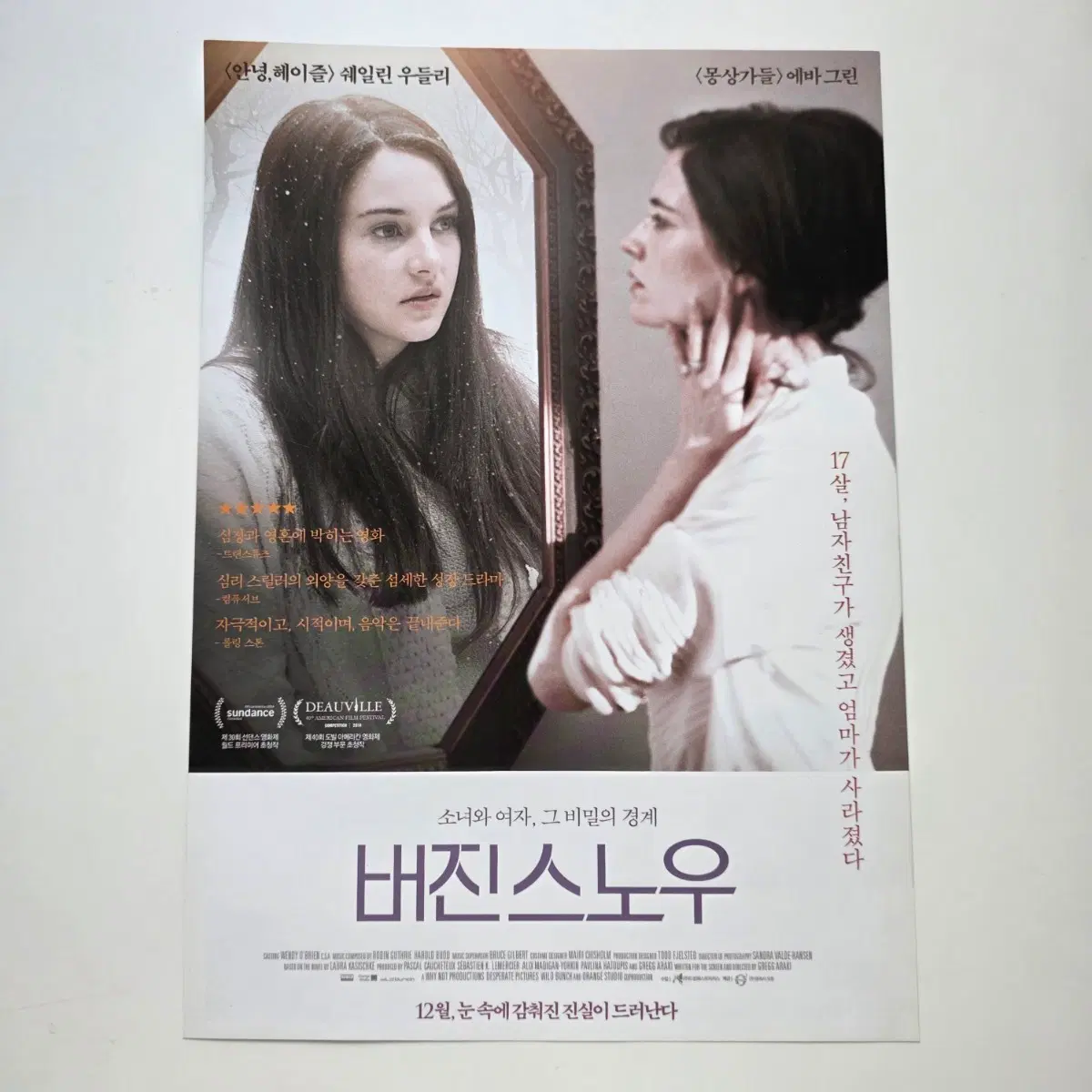[전단지] 버진 스노우 2014 영화 포스터