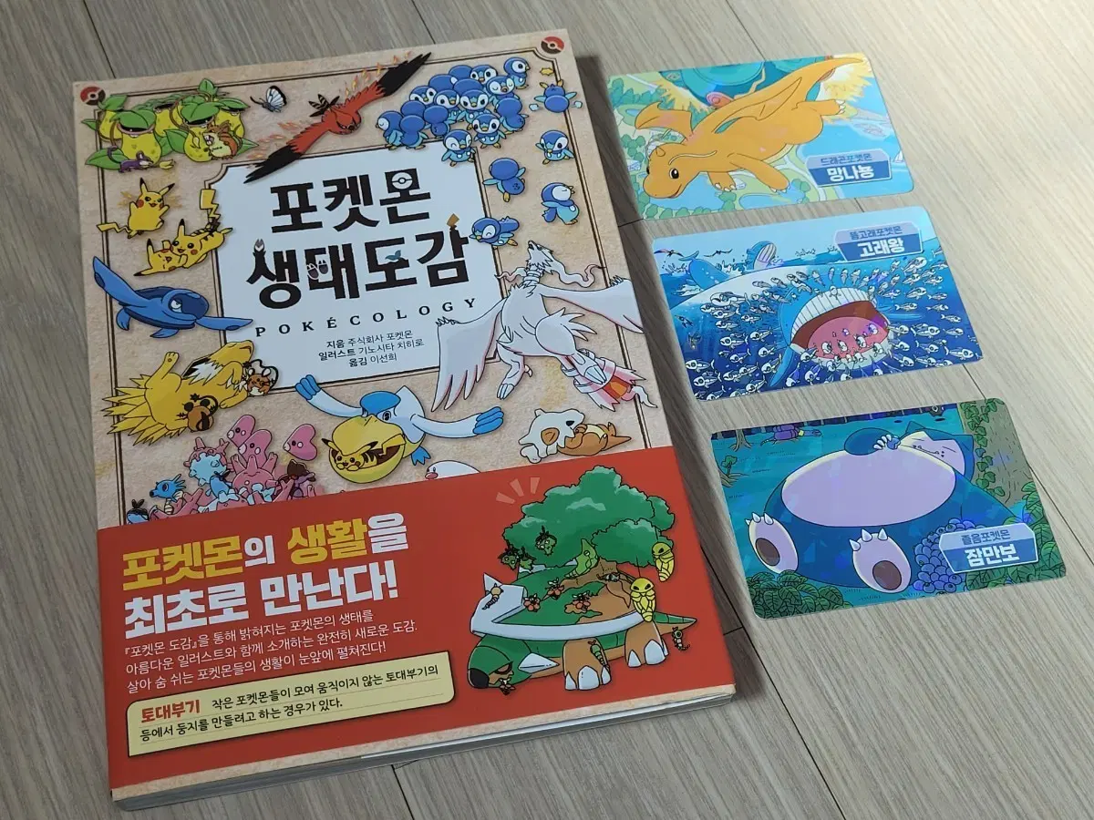 포켓몬 생태도감