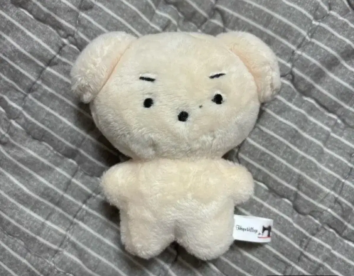 윤돗개 인형 데이식스 도운 인형
