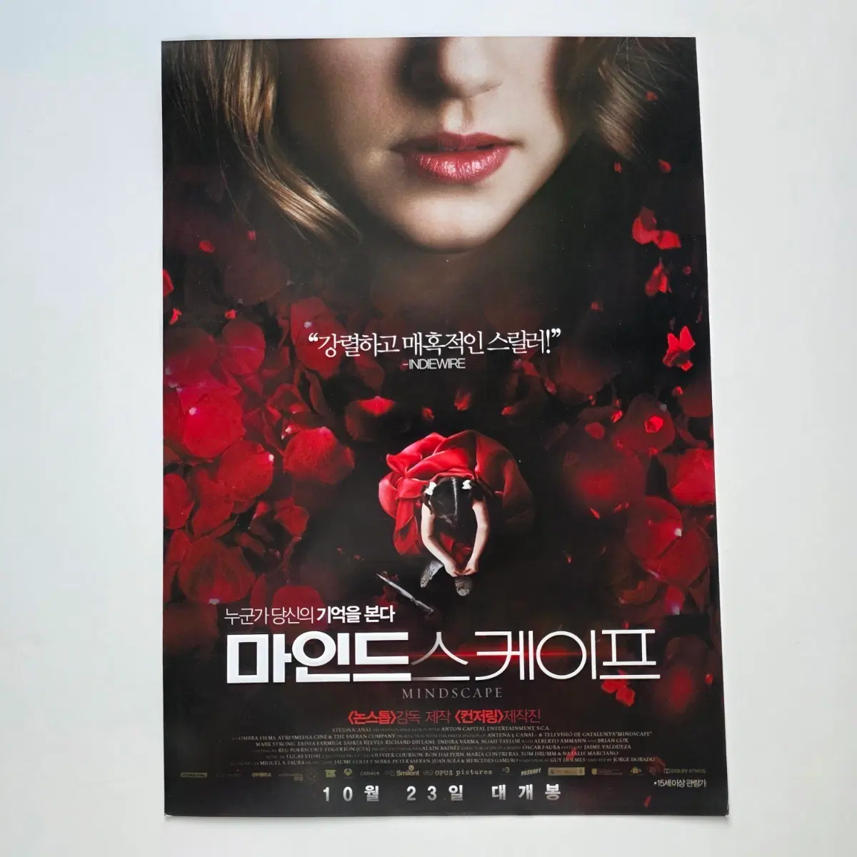 [전단지] 마인드스케이프 2014 영화 포스터
