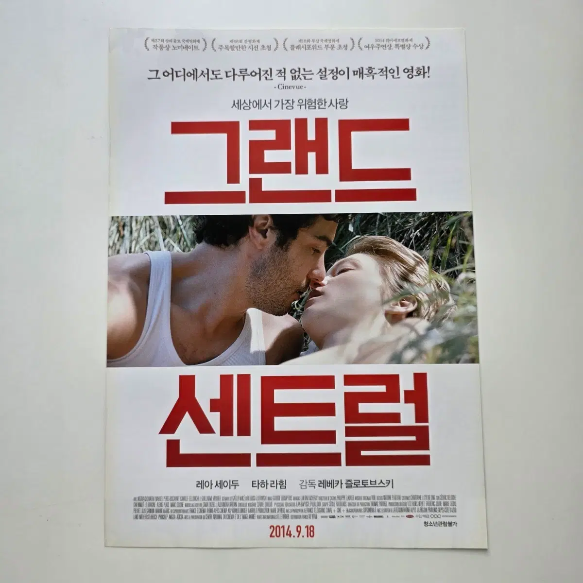 [전단지] 그랜드 센트럴 2014 영화 포스터