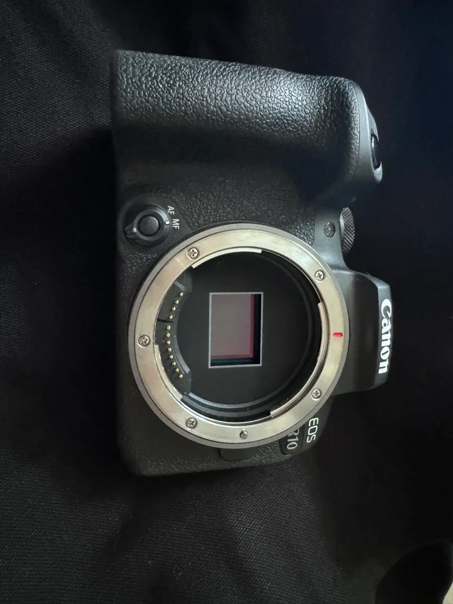 캐논 r10 canon R10