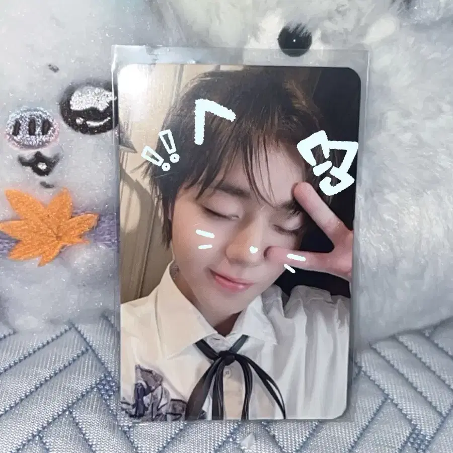 박지훈 포카