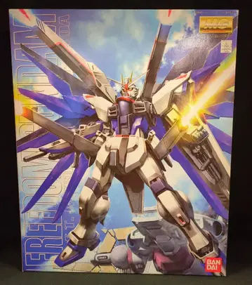 반다이 MG 1/100 기동전사 건담 SEED 프리덤 건담
