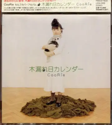 CooRie 나무 사이로 비치는 햇살 달력