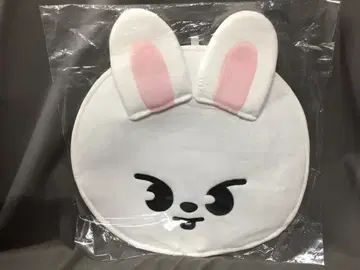 StrayKids 2023MANIAC ENCORE inJAPAN LeeKnow IMAGE PICKET CASE SKZOO
