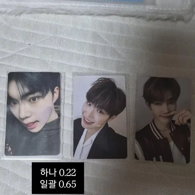 틈새 라면 제베원 포카