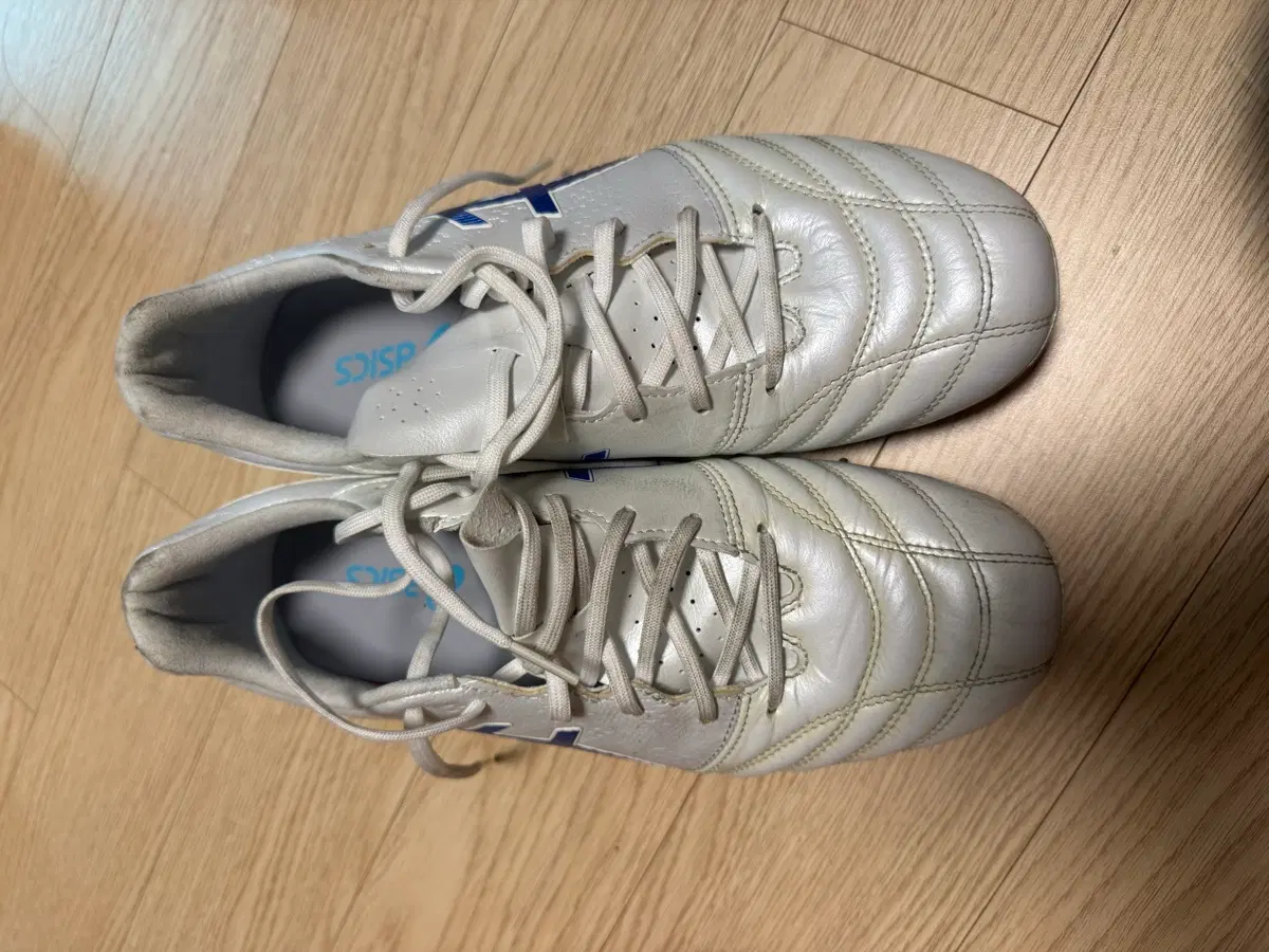 아식스 ds light ag 260 판매