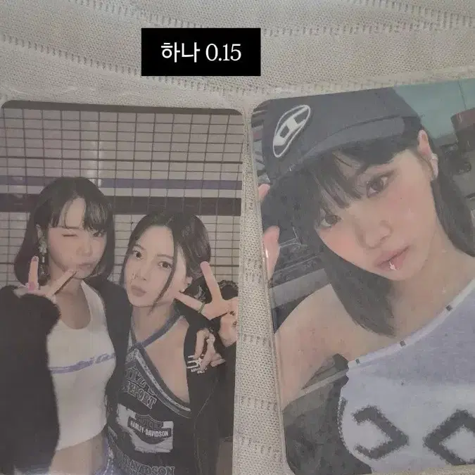 르세라핌 안티프라자 은채,채원 포카