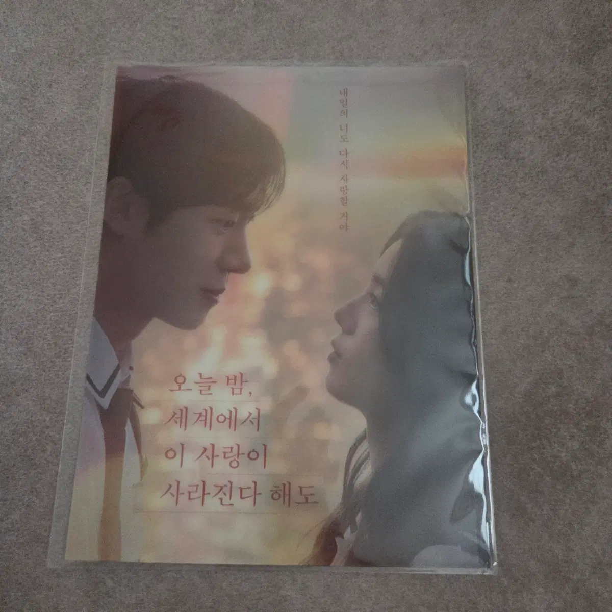 오늘 밤, 세계에서 이 사랑이 사라진다 해도 오세이사 아트카드
