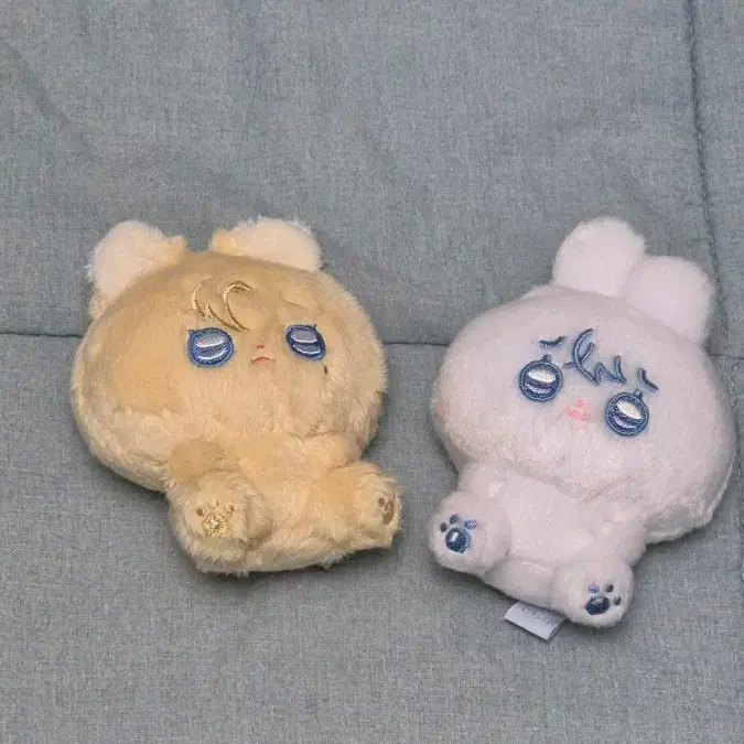 플레이브 노아 예준 속성인형 놔쫑이 예쫑이