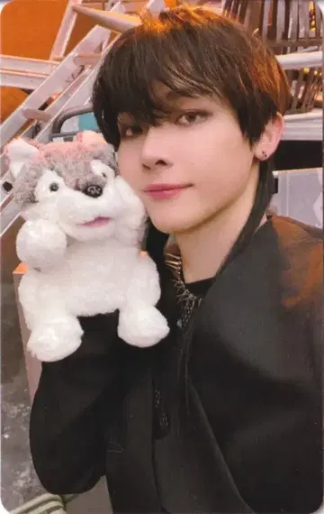 &TEAM 타워레코드 NICHOLAS Go in Blind (월랑) LD 늑대 인형