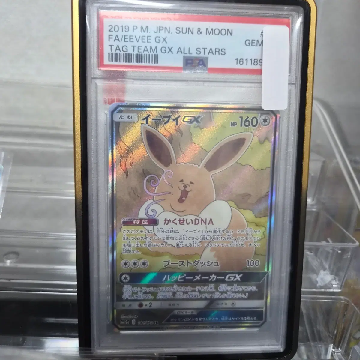 뚱이브이 포켓몬카드 일판 psa10