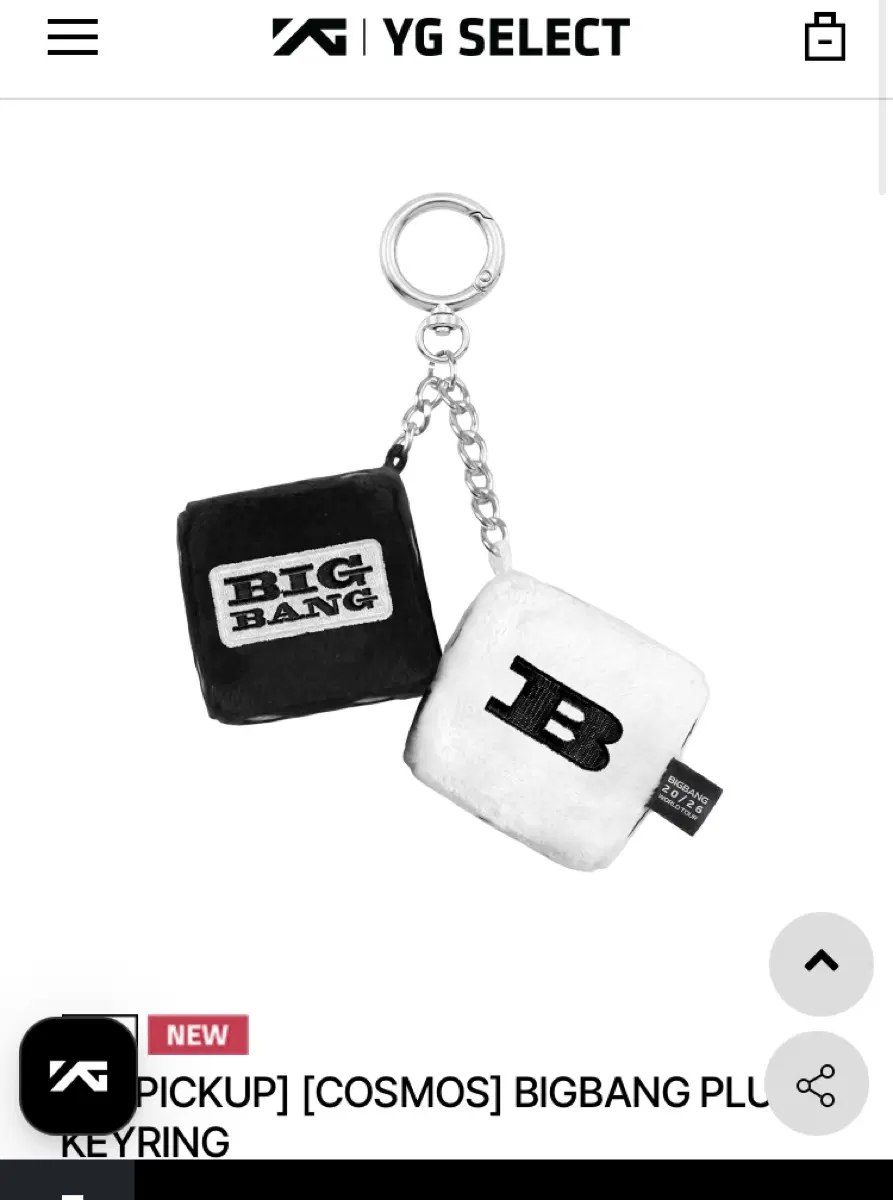 빅뱅 20주년 plush 플러쉬 키링