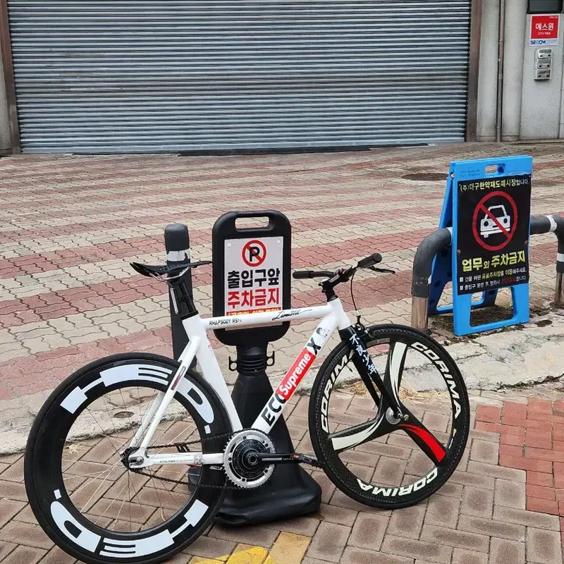 데일리 등학교 픽시로 딱이래~~
